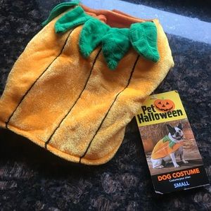 New Small Dog Pumpkin Costume